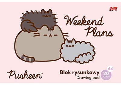 Blok Rysunkowy Pusheen The Cat Kotek 20 Arkuszy A4