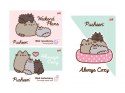 Teczka z Gumką Pusheen The Cat Kotek blok techniczny rysunko