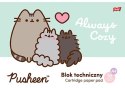 Teczka z Gumką Pusheen The Cat Kotek blok techniczny rysunko