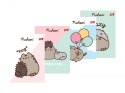 Zeszyt w trzy linie A5 32 kartkowy Kotek Pusheen The Cat